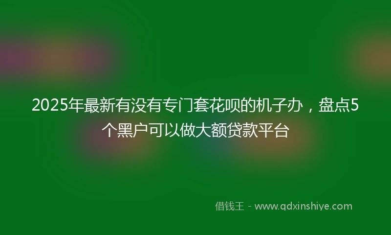 2025年最新有没有专门套花呗的机子办，盘点5个黑户可以做大额贷款平台