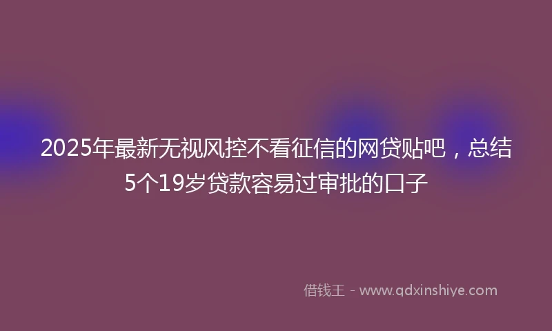 2025年最新无视风控不看征信的网贷贴吧，总结5个19岁贷款容易过审批的口子