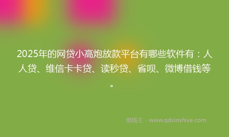 2025年的网贷小高炮放款平台有哪些软件有：人人贷、维信卡卡贷、读秒贷、省呗、微博借钱等。