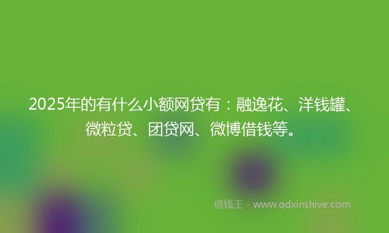 2025年的有什么小额网贷有：融逸花、洋钱罐、微粒贷、团贷网、微博借钱等。