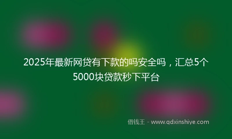 2025年最新网贷有下款的吗安全吗，汇总5个5000块贷款秒下平台