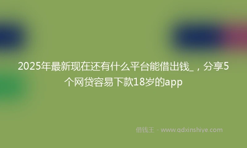 2025年最新现在还有什么平台能借出钱_，分享5个网贷容易下款18岁的app