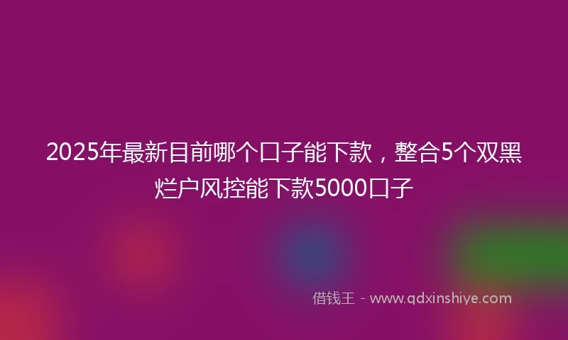2025年最新目前哪个口子能下款，整合5个双黑烂户风控能下款5000口子
