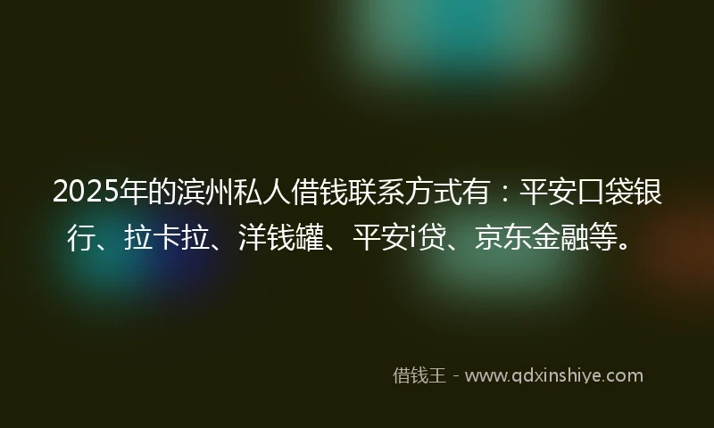 2025年的滨州私人借钱联系方式有：平安口袋银行、拉卡拉、洋钱罐、平安i贷、京东金融等。