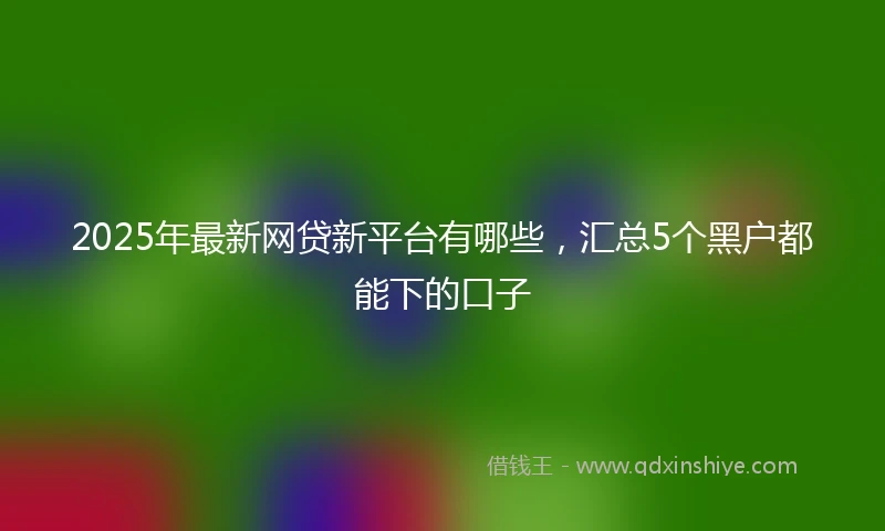 2025年最新网贷新平台有哪些，汇总5个黑户都能下的口子