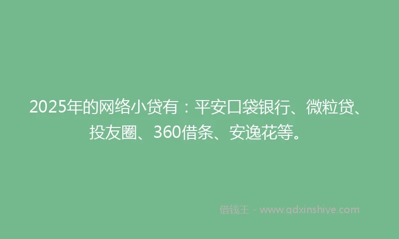 2025年的网络小贷有：平安口袋银行、微粒贷、投友圈、360借条、安逸花等。