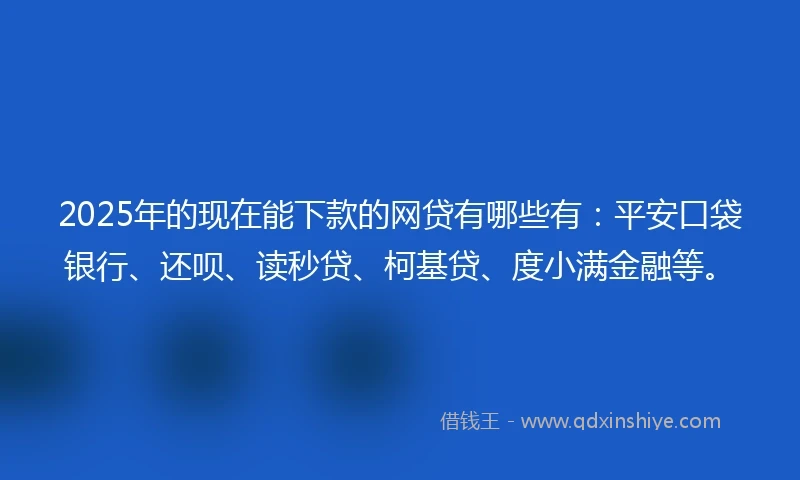 2025年的现在能下款的网贷有哪些有:平安口袋银行、还呗、读秒贷、柯基贷、度小满金融等。