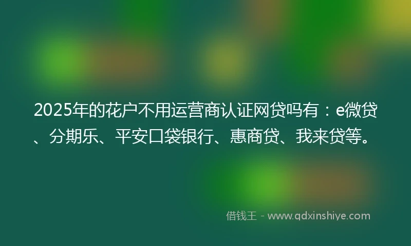 2025年的花户不用运营商认证网贷吗有：e微贷、分期乐、平安口袋银行、惠商贷、我来贷等。
