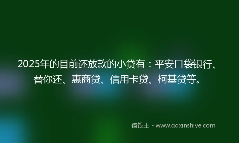 2025年的目前还放款的小贷有：平安口袋银行、替你还、惠商贷、信用卡贷、柯基贷等。