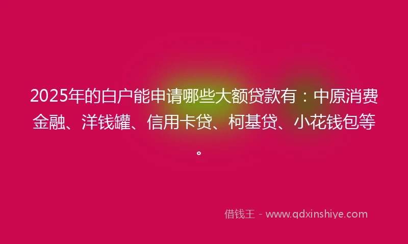2025年的白户能申请哪些大额贷款有：中原消费金融、洋钱罐、信用卡贷、柯基贷、小花钱包等。