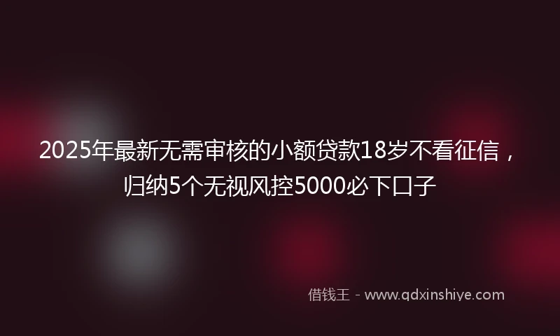 2025年最新无需审核的小额贷款18岁不看征信，归纳5个无视风控5000必下口子