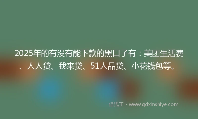 2025年的有没有能下款的黑口子有：美团生活费、人人贷、我来贷、51人品贷、小花钱包等。