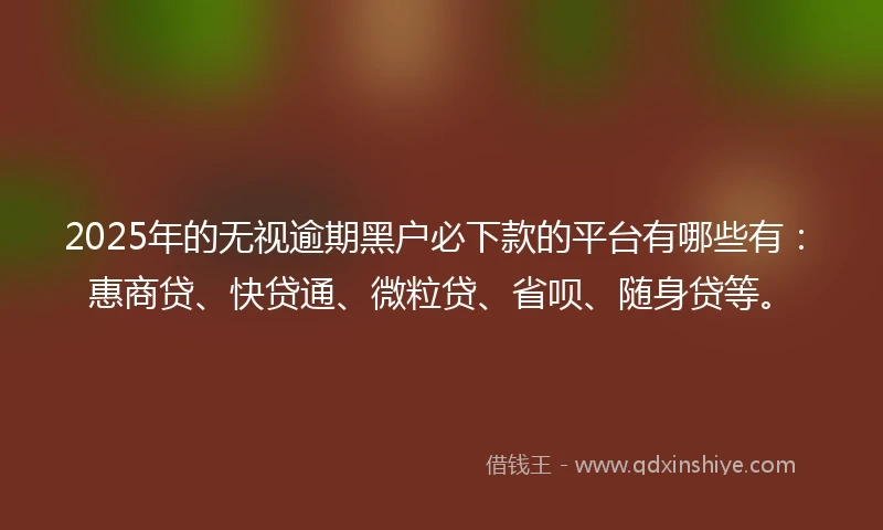 2025年的无视逾期黑户必下款的平台有哪些有：惠商贷、快贷通、微粒贷、省呗、随身贷等。