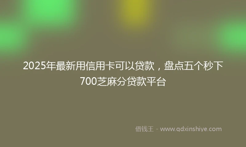 2025年最新用信用卡可以贷款,盘点五个秒下700芝麻分贷款平台