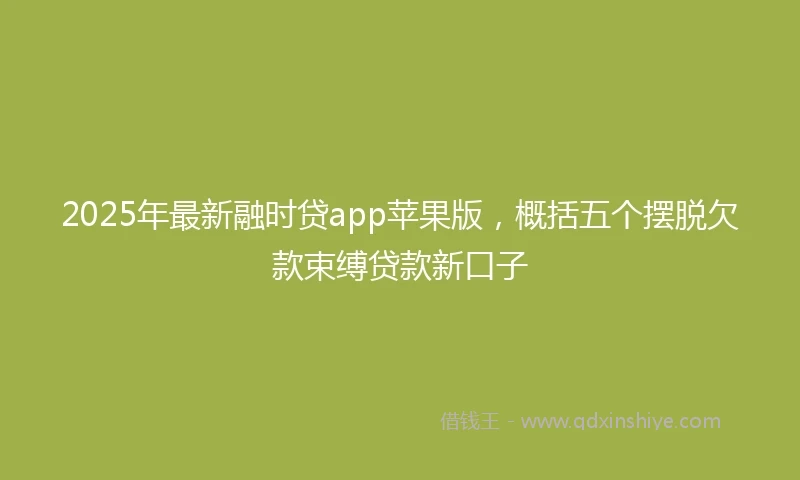 2025年最新融时贷app苹果版，概括五个摆脱欠款束缚贷款新口子