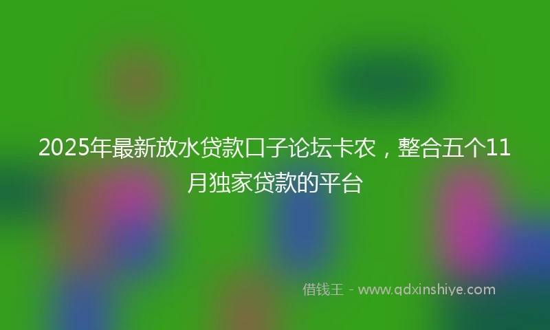 2025年最新放水贷款口子论坛卡农，整合五个11月独家贷款的平台