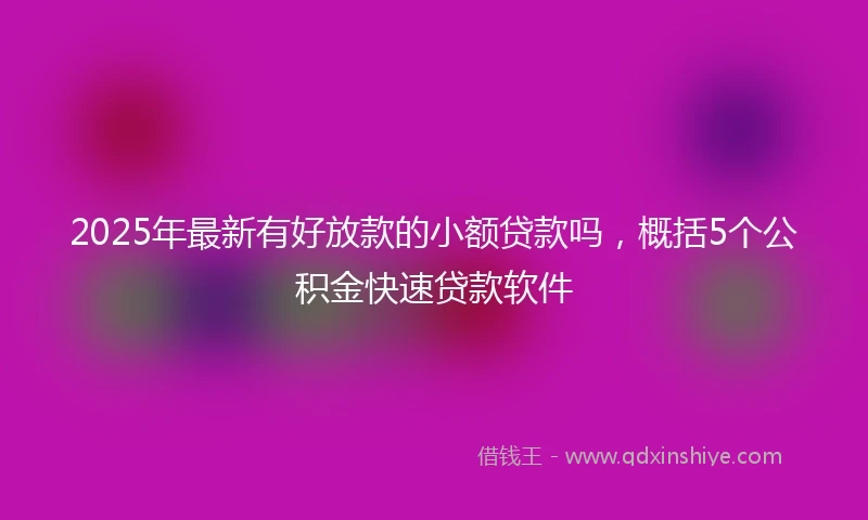2025年最新有好放款的小额贷款吗，概括5个公积金快速贷款软件
