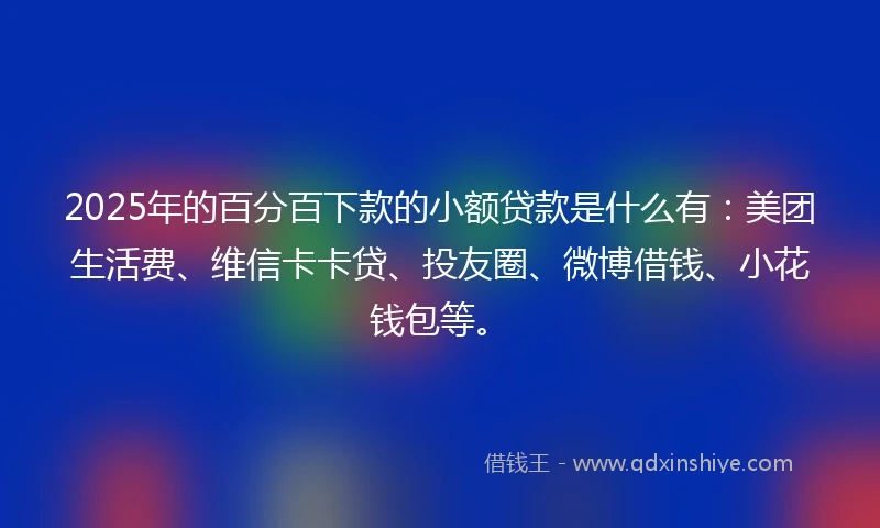 2025年的百分百下款的小额贷款是什么有：美团生活费、维信卡卡贷、投友圈、微博借钱、小花钱包等。