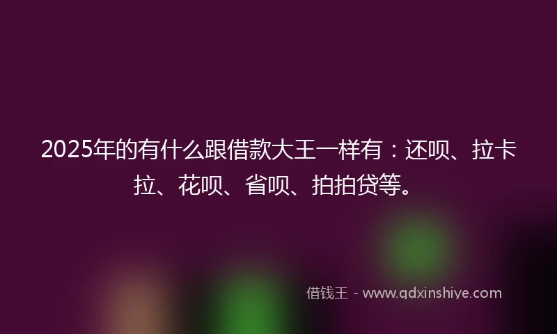 2025年的有什么跟借款大王一样有：还呗、拉卡拉、花呗、省呗、拍拍贷等。