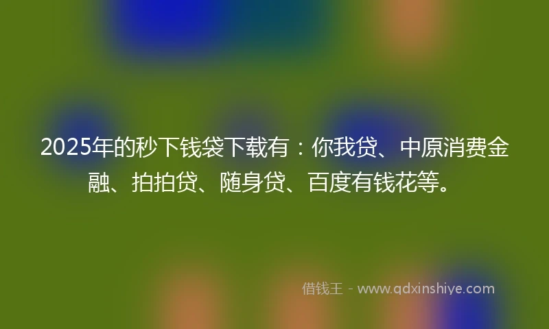 2025年的秒下钱袋下载有：你我贷、中原消费金融、拍拍贷、随身贷、百度有钱花等。