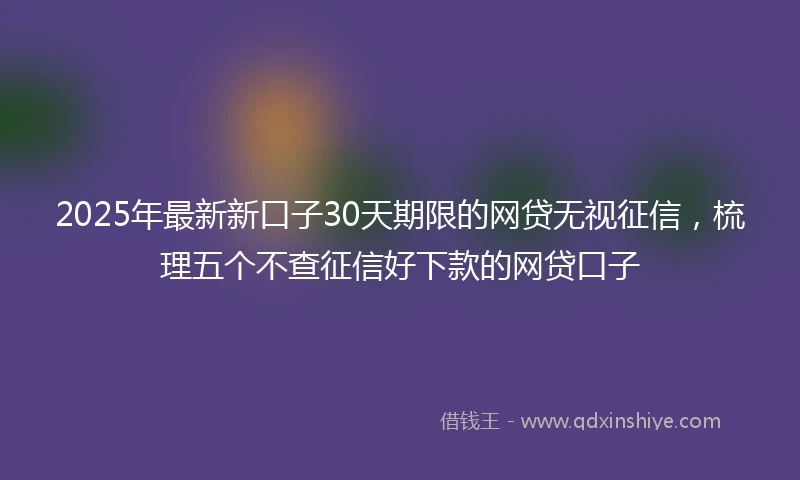 2025年最新新口子30天期限的网贷无视征信，梳理五个不查征信好下款的网贷口子
