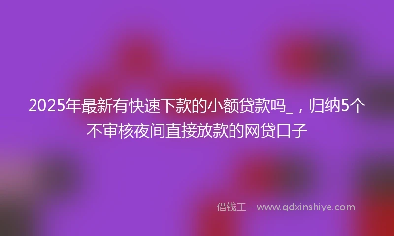 2025年最新有快速下款的小额贷款吗_，归纳5个不审核夜间直接放款的网贷口子