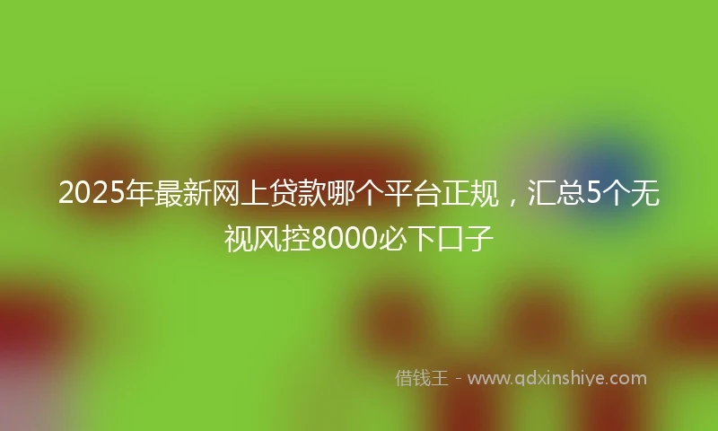2025年最新网上贷款哪个平台正规，汇总5个无视风控8000必下口子