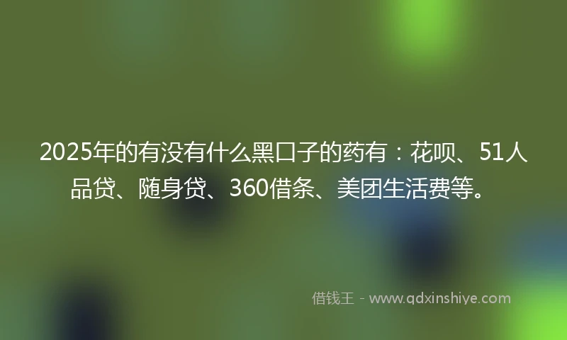 2025年的有没有什么黑口子的药有：花呗、51人品贷、随身贷、360借条、美团生活费等。