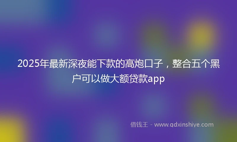 2025年最新深夜能下款的高炮口子，整合五个黑户可以做大额贷款app