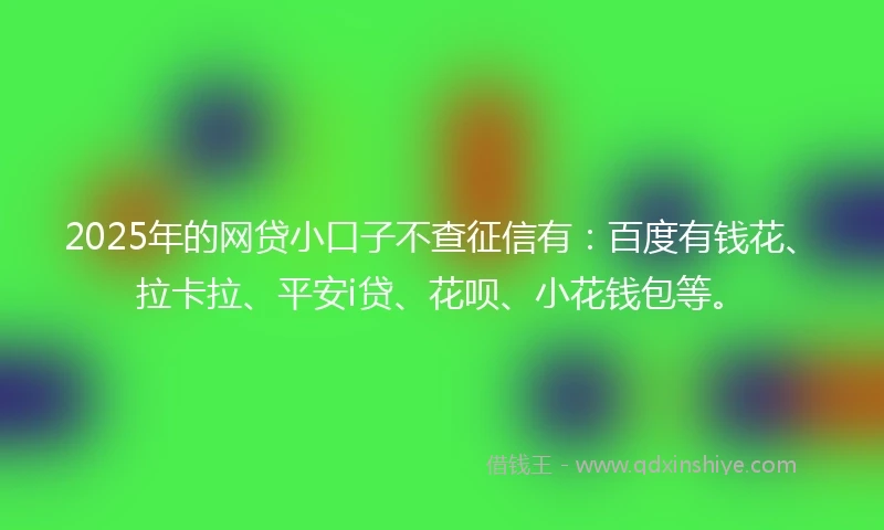 2025年的网贷小口子不查征信有：百度有钱花、拉卡拉、平安i贷、花呗、小花钱包等。