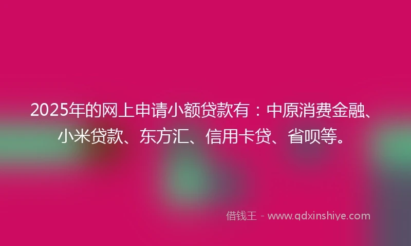2025年的网上申请小额贷款有：中原消费金融、小米贷款、东方汇、信用卡贷、省呗等。