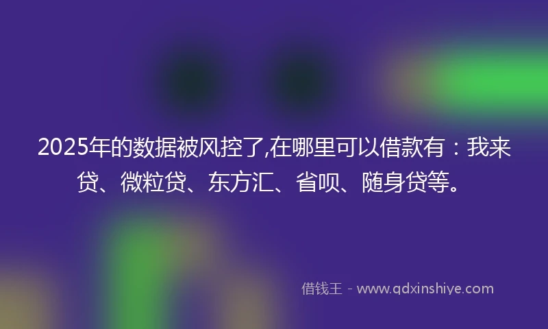2025年的数据被风控了,在哪里可以借款有：我来贷、微粒贷、东方汇、省呗、随身贷等。