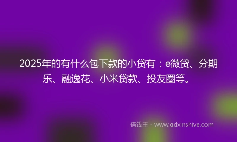 2025年的有什么包下款的小贷有：e微贷、分期乐、融逸花、小米贷款、投友圈等。