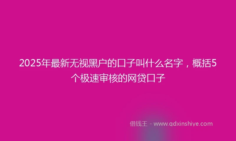2025年最新无视黑户的口子叫什么名字，概括5个极速审核的网贷口子