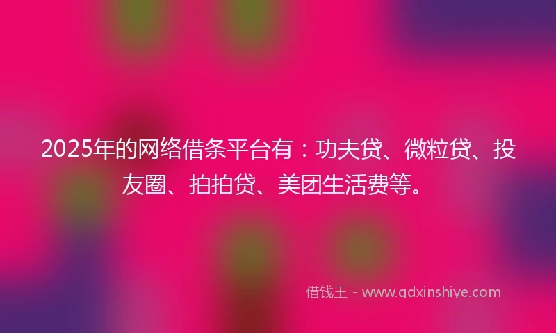 2025年的网络借条平台有：功夫贷、微粒贷、投友圈、拍拍贷、美团生活费等。