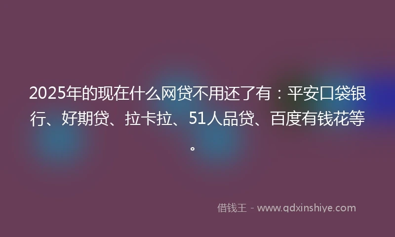 2025年的现在什么网贷不用还了有：平安口袋银行、好期贷、拉卡拉、51人品贷、百度有钱花等。