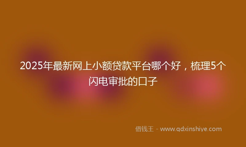 2025年最新网上小额贷款平台哪个好，梳理5个闪电审批的口子
