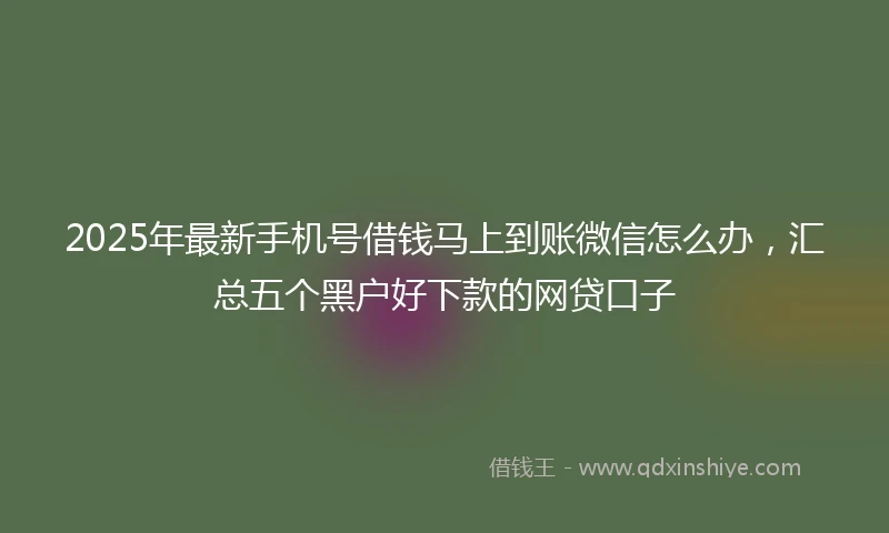 2025年最新手机号借钱马上到账微信怎么办，汇总五个黑户好下款的网贷口子