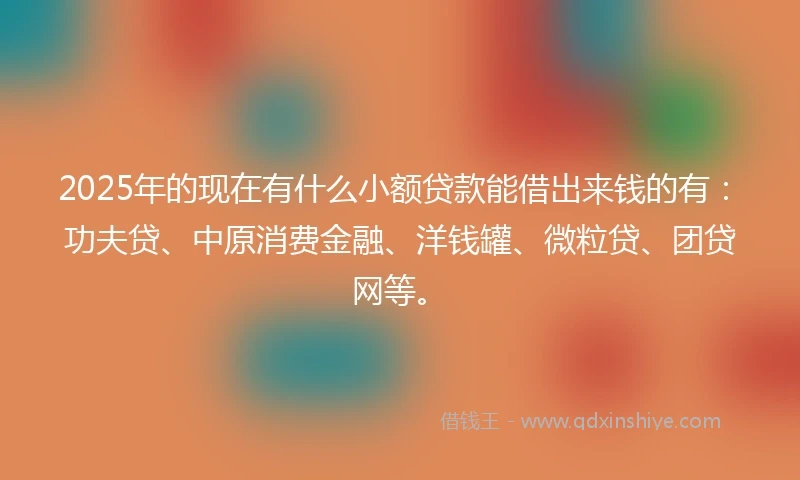 2025年的现在有什么小额贷款能借出来钱的有：功夫贷、中原消费金融、洋钱罐、微粒贷、团贷网等。