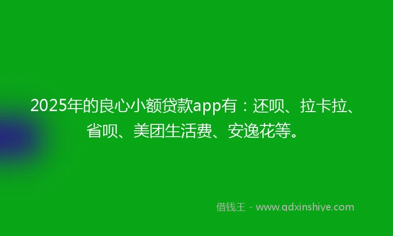 2025年的良心小额贷款app有：还呗、拉卡拉、省呗、美团生活费、安逸花等。