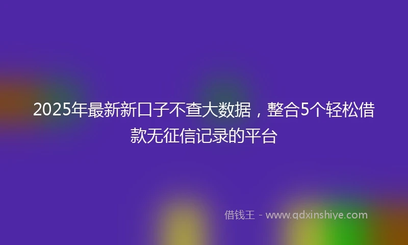 2025年最新新口子不查大数据，整合5个轻松借款无征信记录的平台
