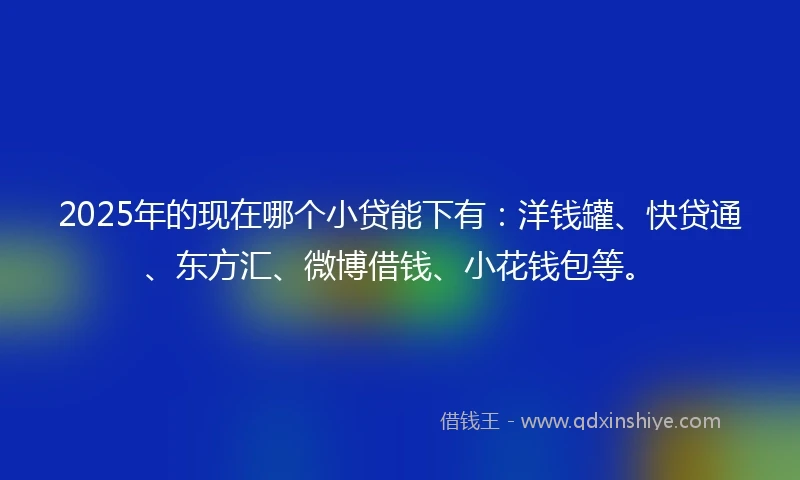 2025年的现在哪个小贷能下有：洋钱罐、快贷通、东方汇、微博借钱、小花钱包等。