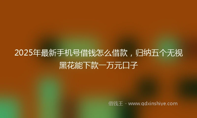 2025年最新手机号借钱怎么借款，归纳五个无视黑花能下款一万元口子