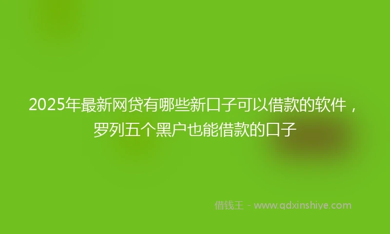 2025年最新网贷有哪些新口子可以借款的软件，罗列五个黑户也能借款的口子