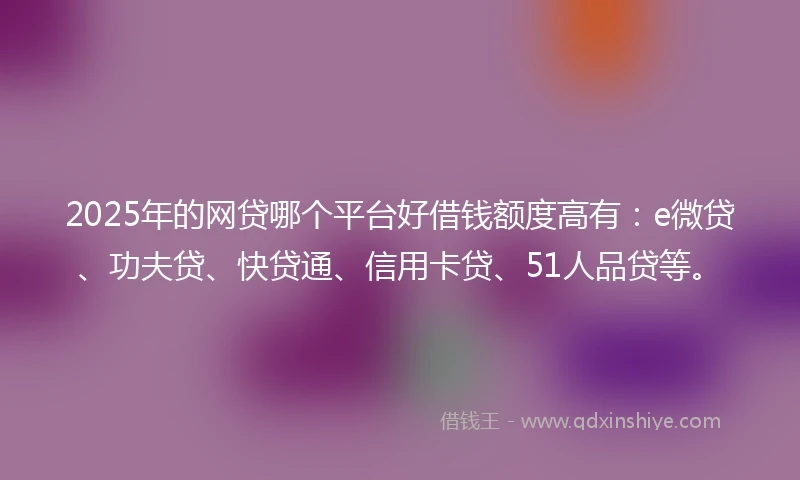2025年的网贷哪个平台好借钱额度高有：e微贷、功夫贷、快贷通、信用卡贷、51人品贷等。