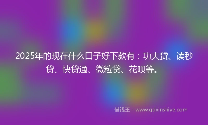 2025年的现在什么口子好下款有：功夫贷、读秒贷、快贷通、微粒贷、花呗等。