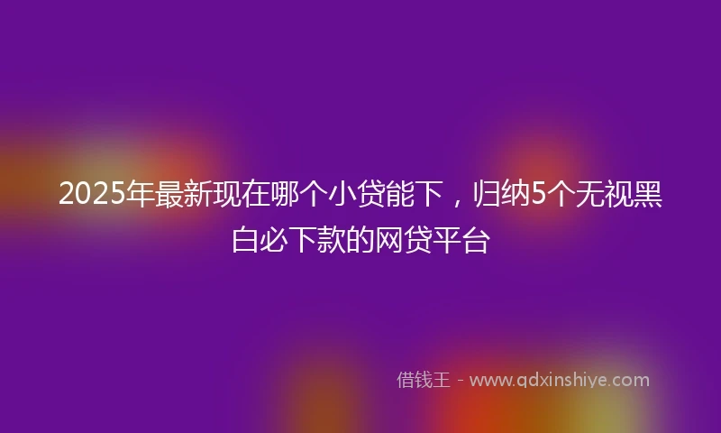 2025年最新现在哪个小贷能下，归纳5个无视黑白必下款的网贷平台