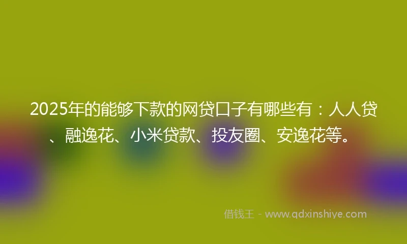 2025年的能够下款的网贷口子有哪些有：人人贷、融逸花、小米贷款、投友圈、安逸花等。