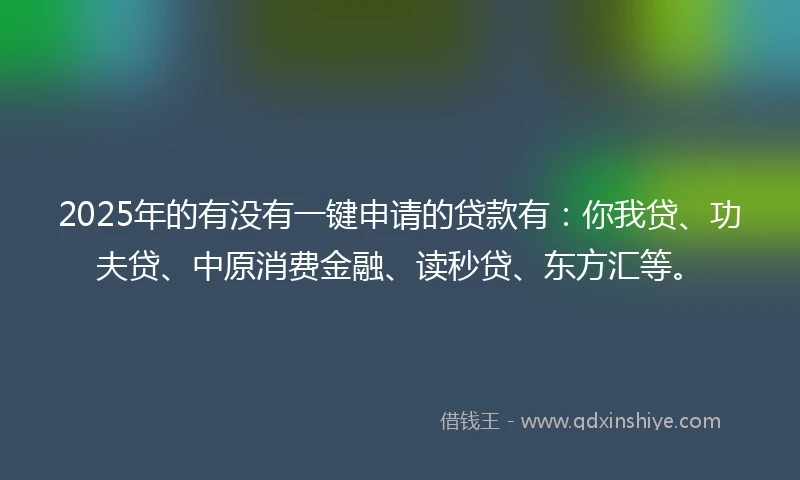 2025年的有没有一键申请的贷款有：你我贷、功夫贷、中原消费金融、读秒贷、东方汇等。