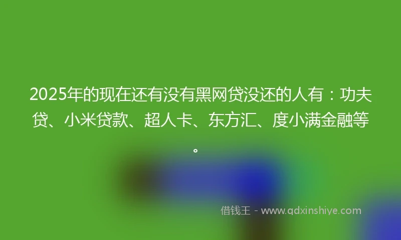 2025年的现在还有没有黑网贷没还的人有：功夫贷、小米贷款、超人卡、东方汇、度小满金融等。